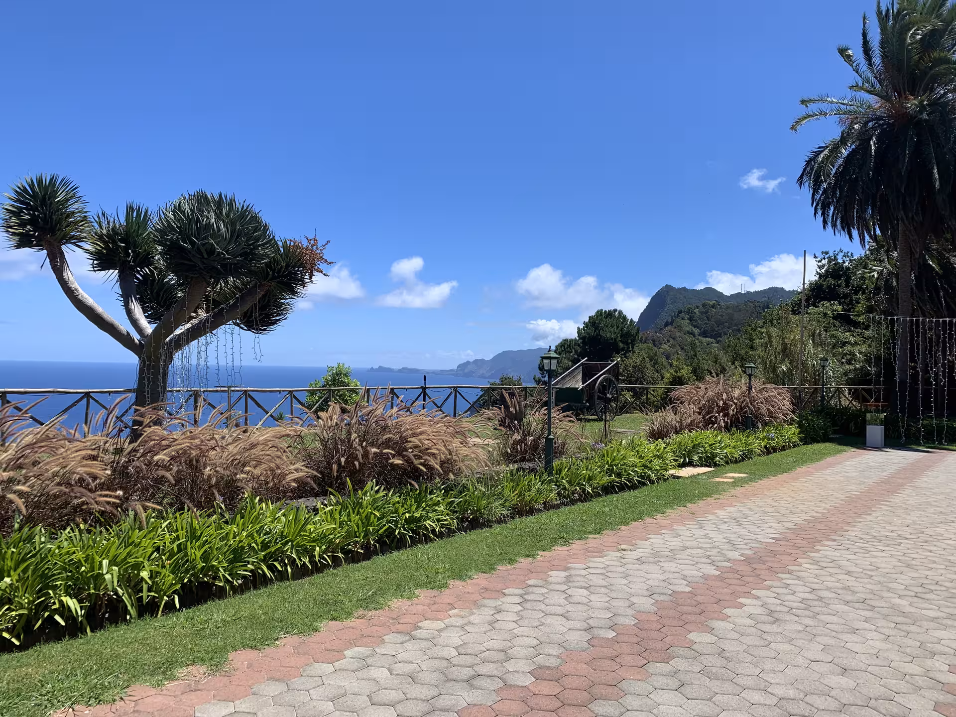 Scenic garden pathway with dragon tree and stunning ocean and mountain views on a private Madeira tour