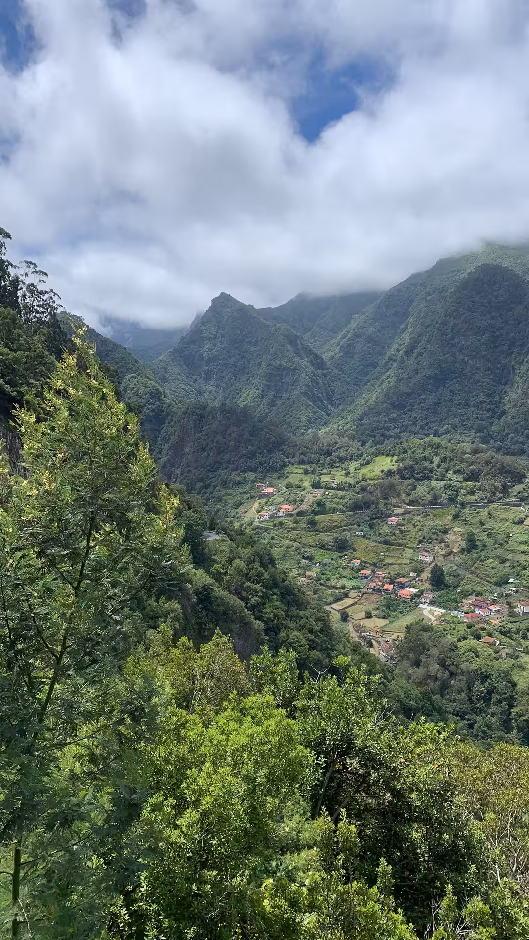 Breathtaking green valley and misty mountain landscape on a private guided small group tour in Madeira