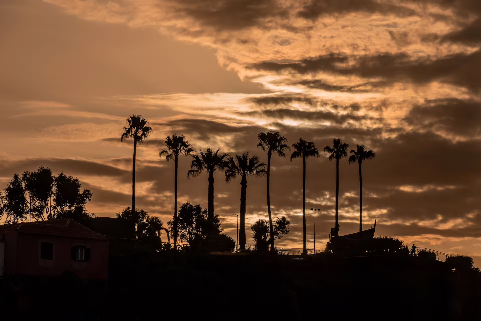 Silhouetted palm trees against a dramatic Madeira sunset sky, perfect for a private, comfortable island exploration tour.