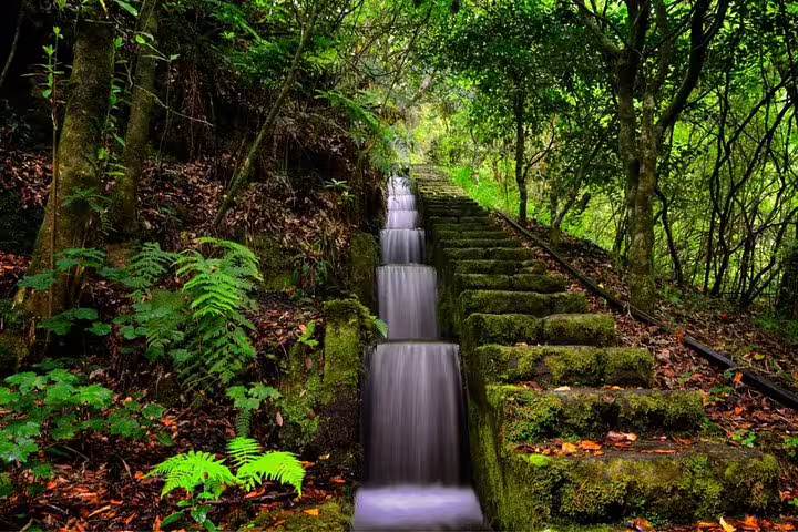 Lush forest trail with cascading waterfall on Madeira's east side, perfect for an adventurous safari tour.