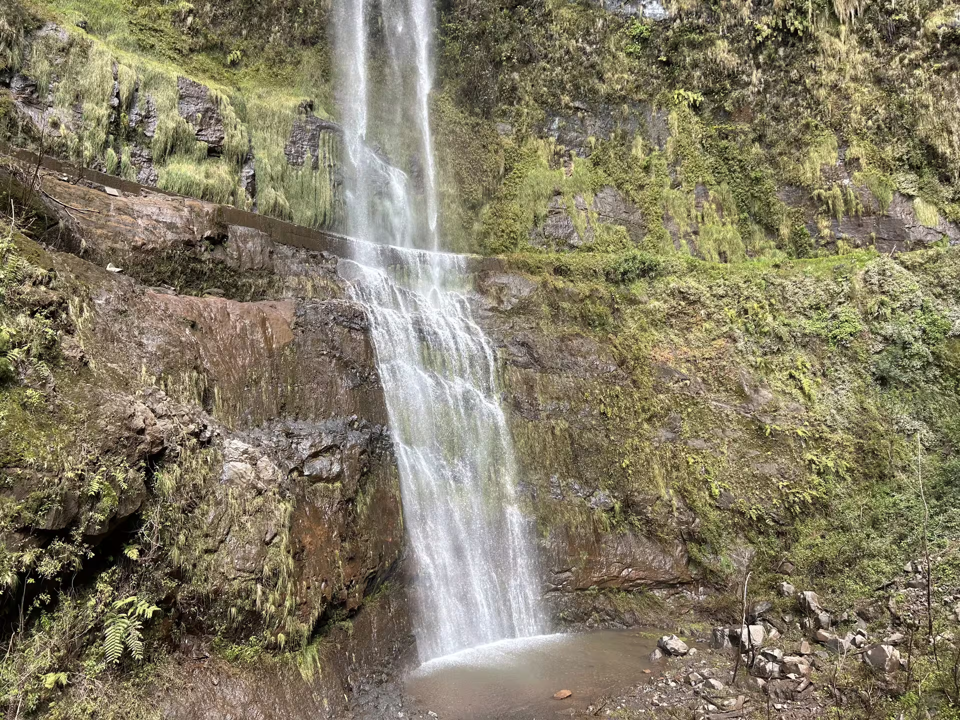 Lush Madeira waterfall cascading down mossy rocks, perfect for a personalized tour in nature's tranquility and comfort.