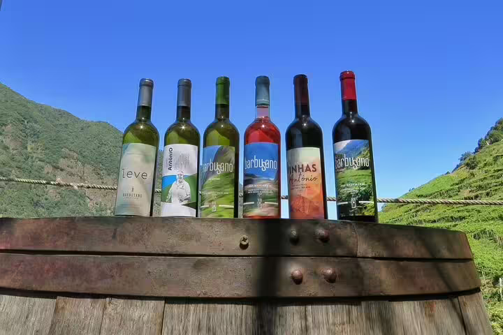 Assorted Madeira wine bottles displayed on a barrel against a backdrop of lush vineyards and clear blue sky, ideal for a 4x4 adventure tour with wine tasting.