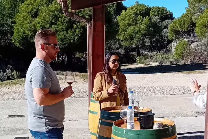 Visitors enjoy wine tasting outdoors at a Madrid winery, surrounded by lush greenery and wine barrels.