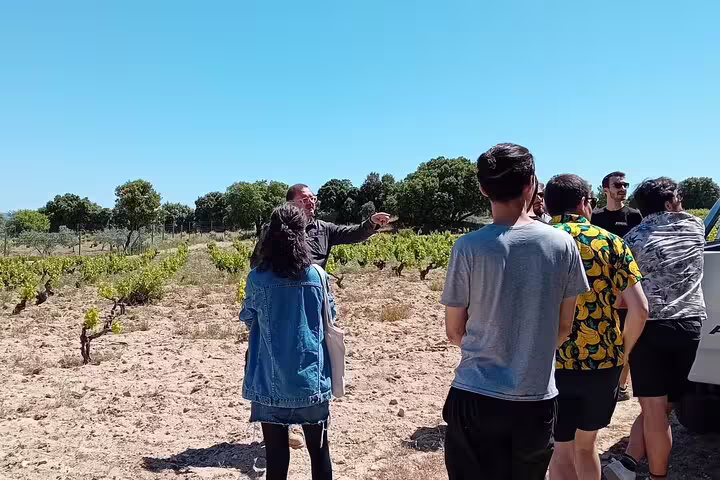 Guide leading a group through Madrid's scenic vineyard on a wine tasting tour.