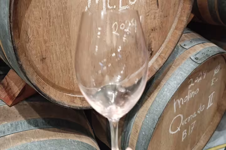Close-up of wine barrels and glass at Madrid winery highlighting authentic wine aging process.