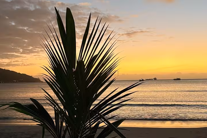 Serene Mahe Island sunset with palm silhouette and tranquil ocean waves, perfect for private tour experiences.