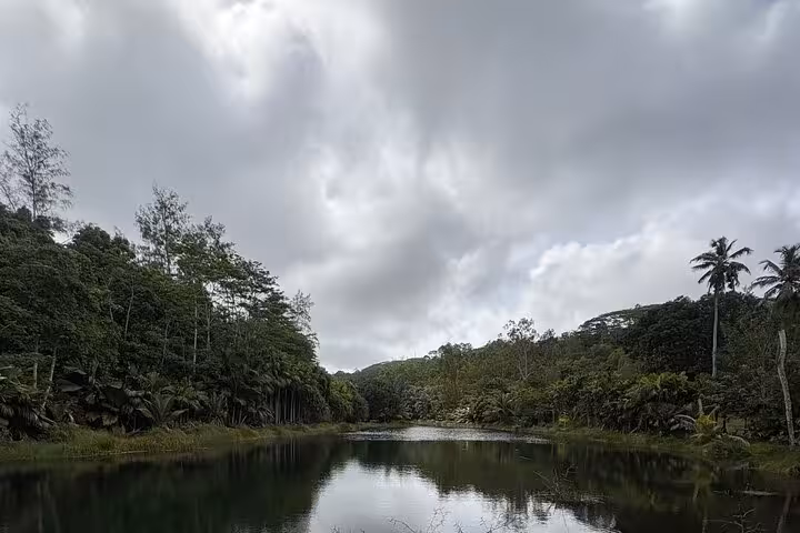Serene lake surrounded by dense forest under a cloudy sky on Mahe island, ideal for tranquil private tours.