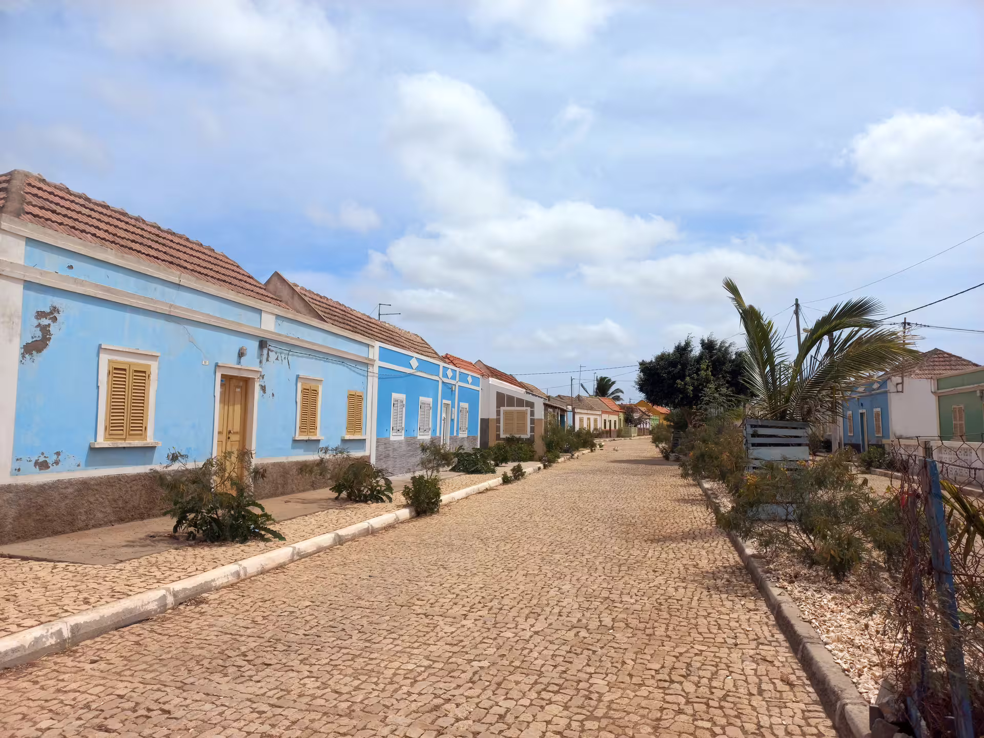 Charming cobblestone street lined with pastel-colored houses on Maio Island, a highlight of the guided tour from Praia.