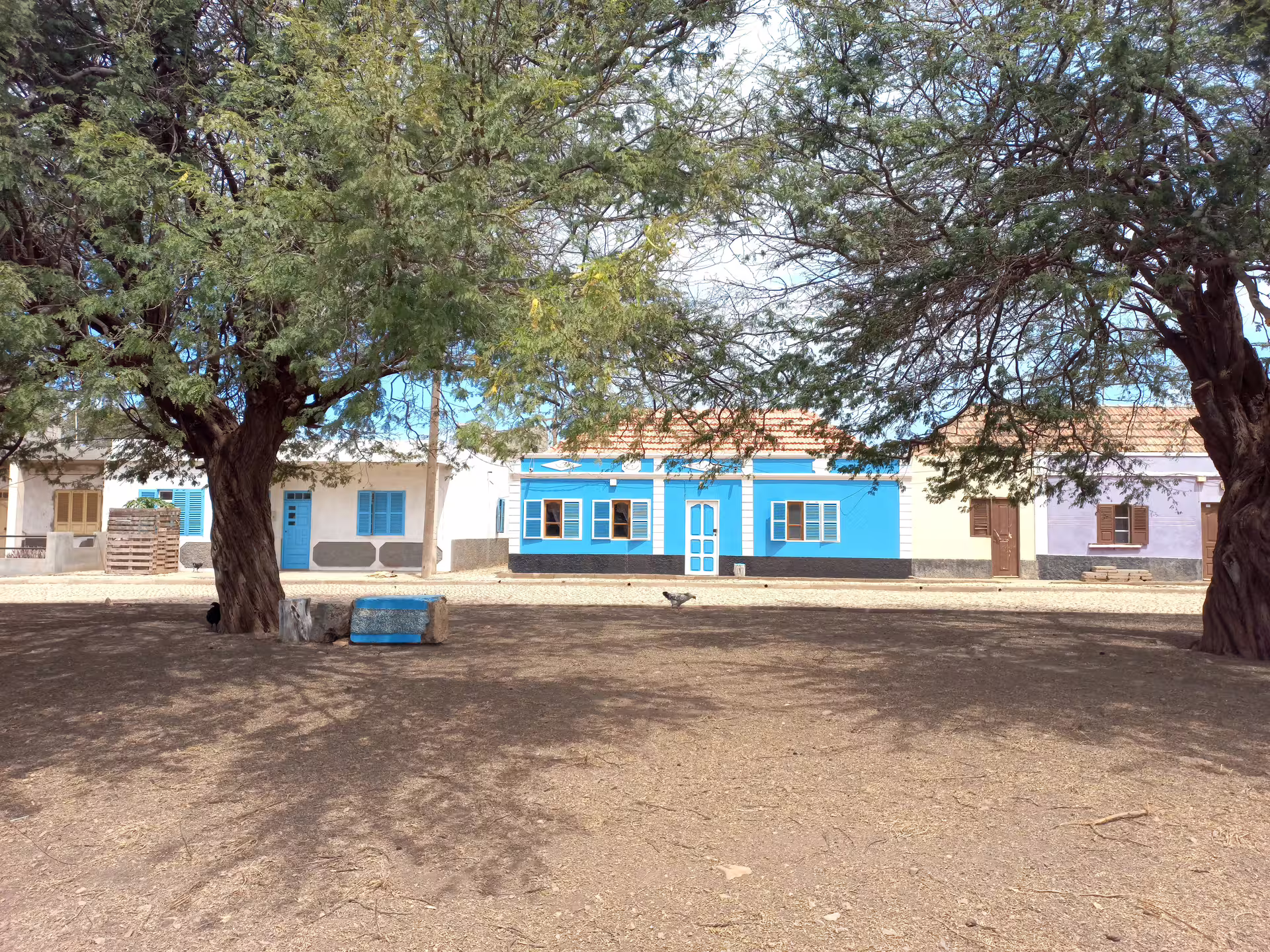 Colorful houses and lush trees in a quaint village on Maio Island, perfect for a private guided tour from Praia.