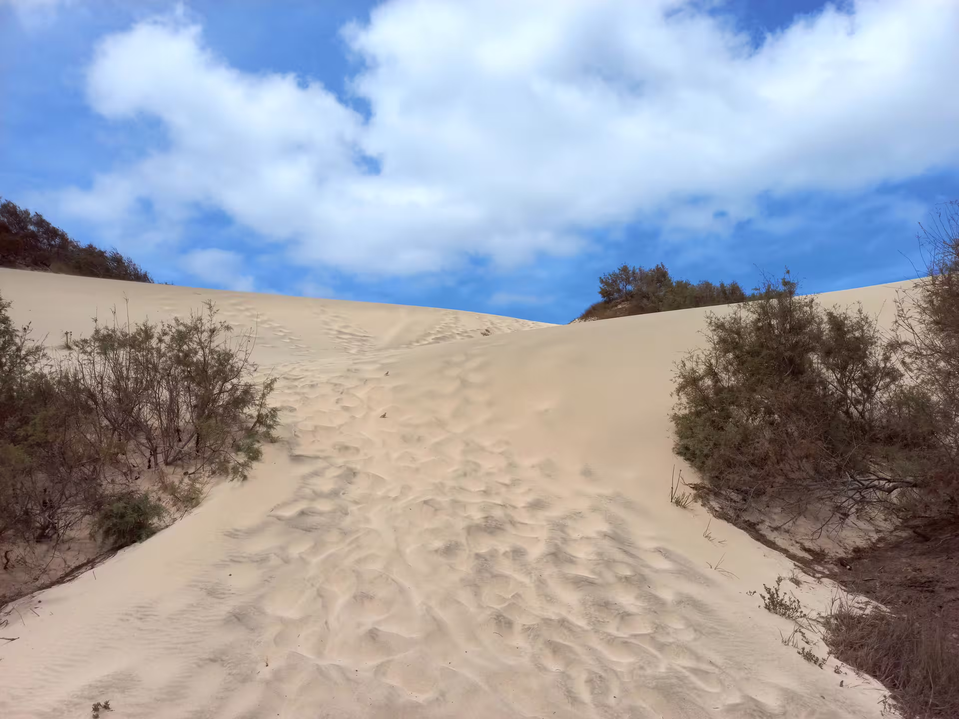 Explore the stunning sand dunes and clear blue skies on Maio Island's guided tour from Praia.