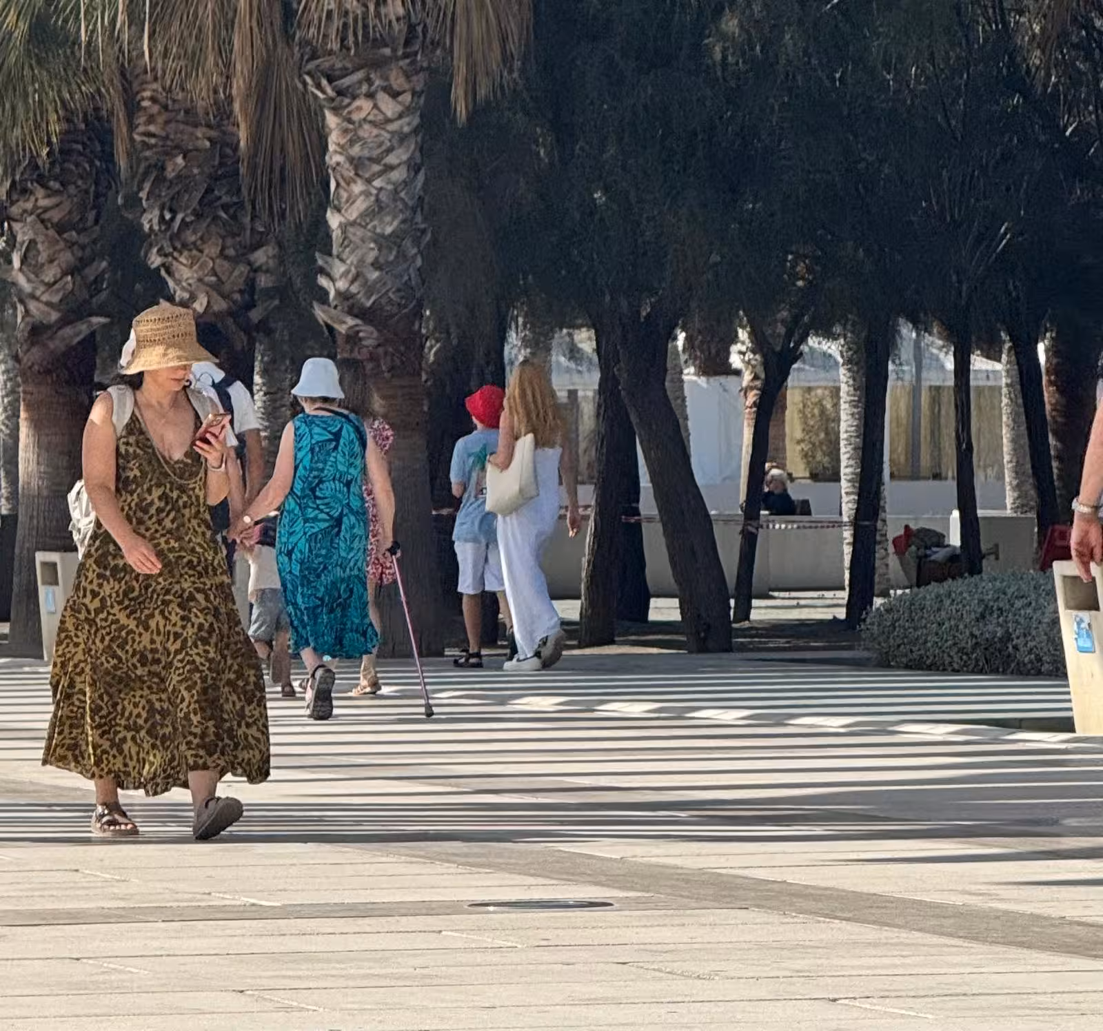 People walking along a sunny boulevard lined with palm trees in Málaga.