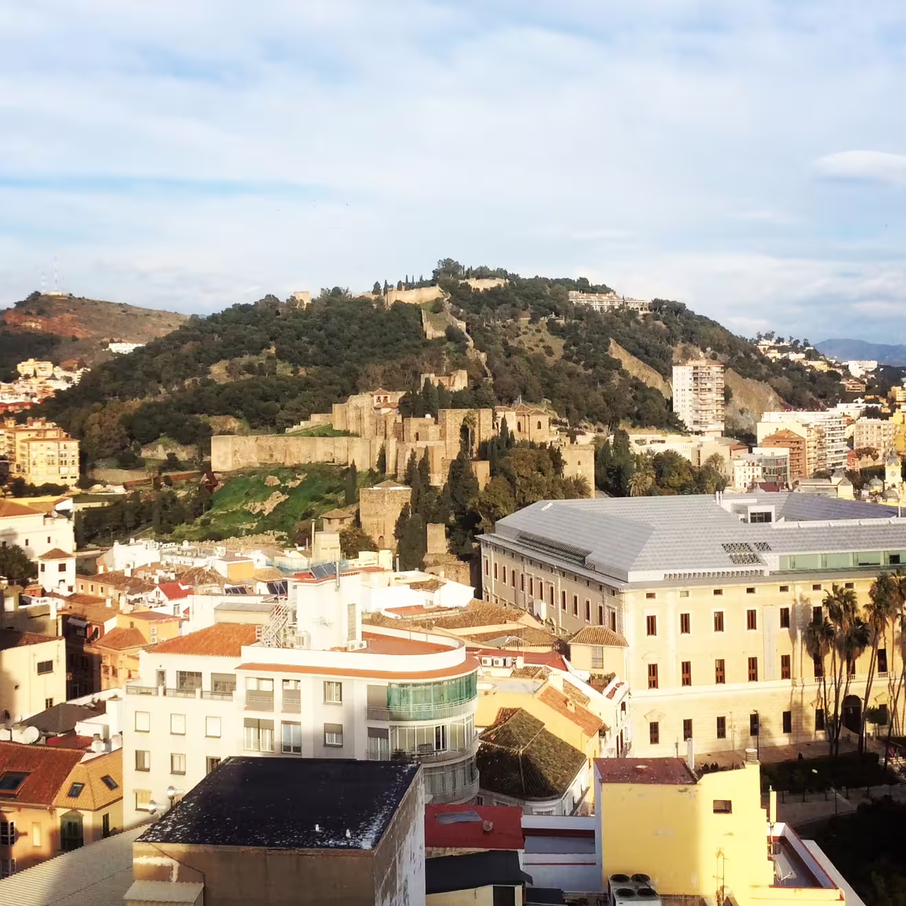 Panoramic view of Malaga with Gibralfaro Castle and Alcazaba on a private full-day tour with hotel pick-up