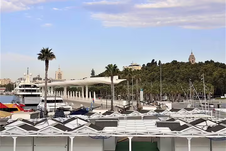 Malaga group walking tour at Muelle Uno waterfront marina with yachts, palm trees and city views