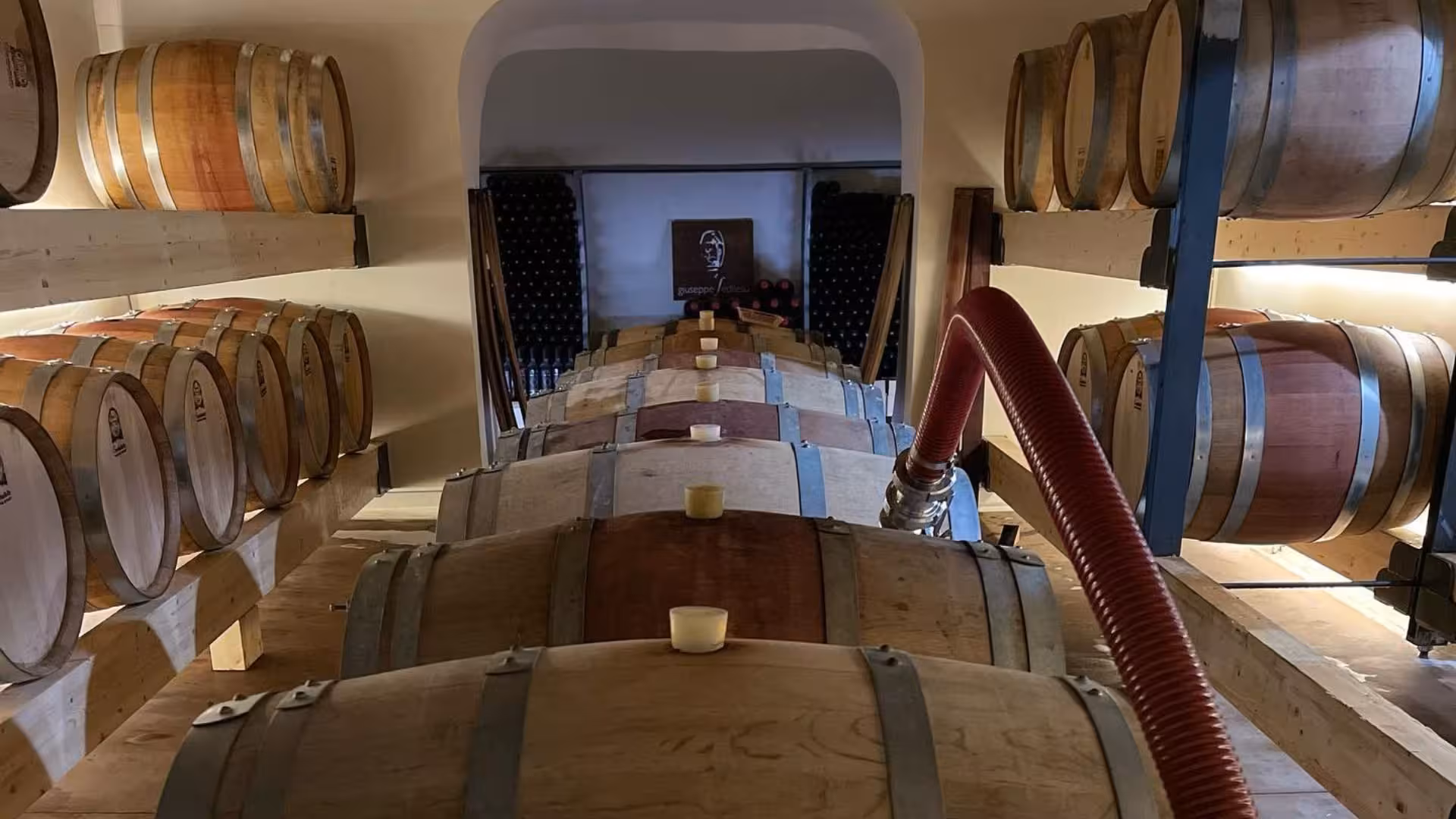 Rows of oak barrels aging wine in a cozy cellar, highlighting the traditional winemaking process in Mamoiada.