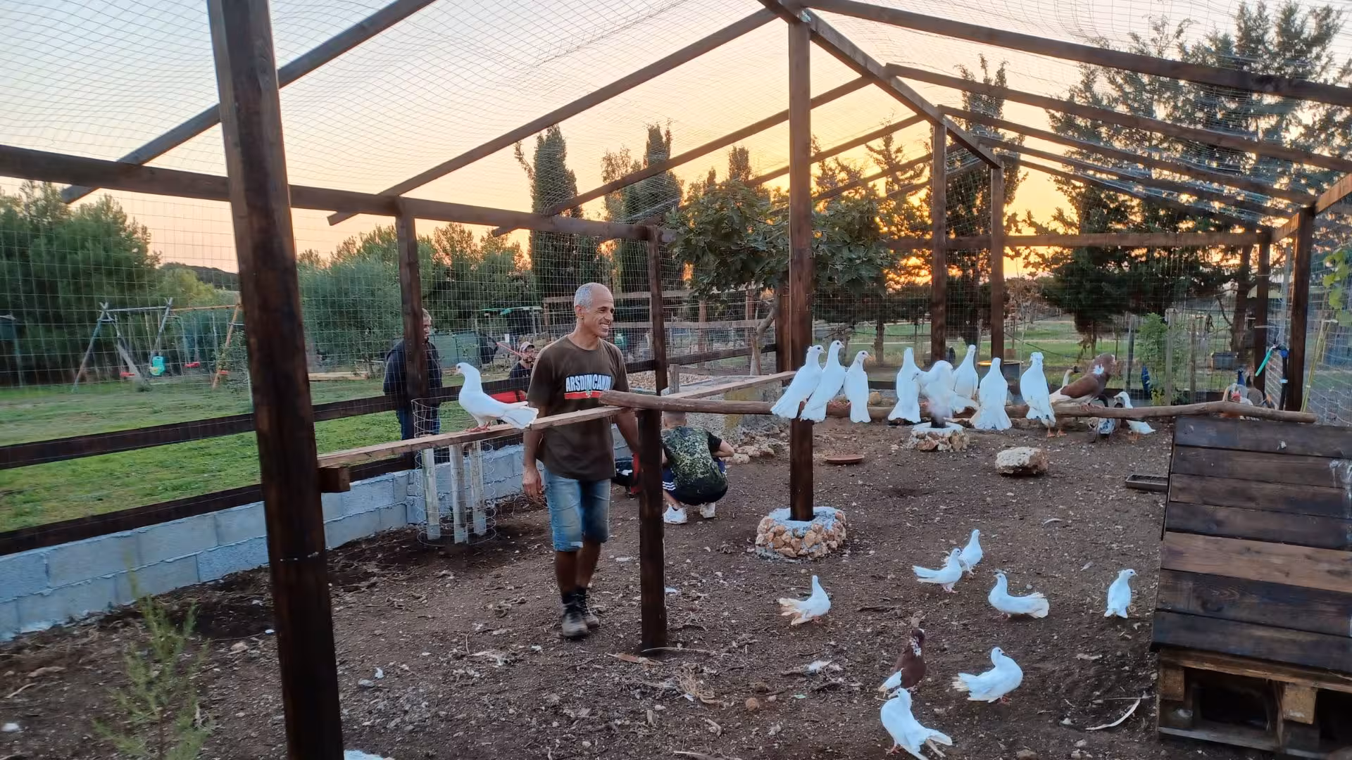 Man interacting with doves in a serene educational farm setting in Sassari at sunset.