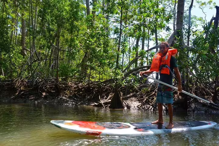 Man paddleboarding through lush mangrove forest, enjoying an adventurous kayaking tour in tropical waters.