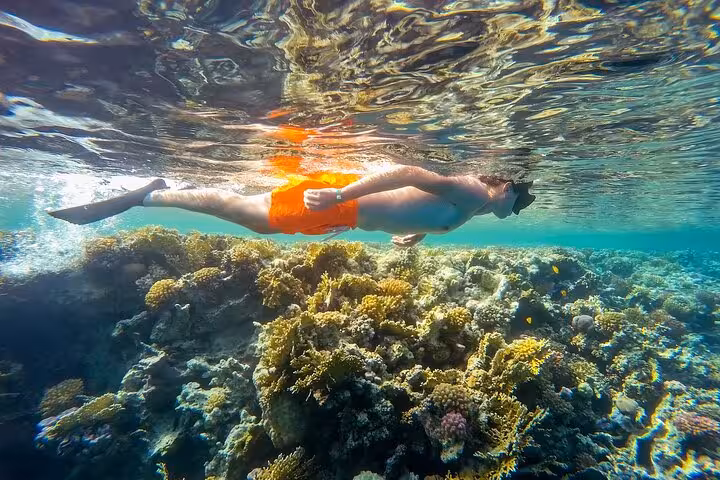 Man snorkeling over shallow coral gardens in Hurghada, Red Sea, during 2-hour semi-submarine tour