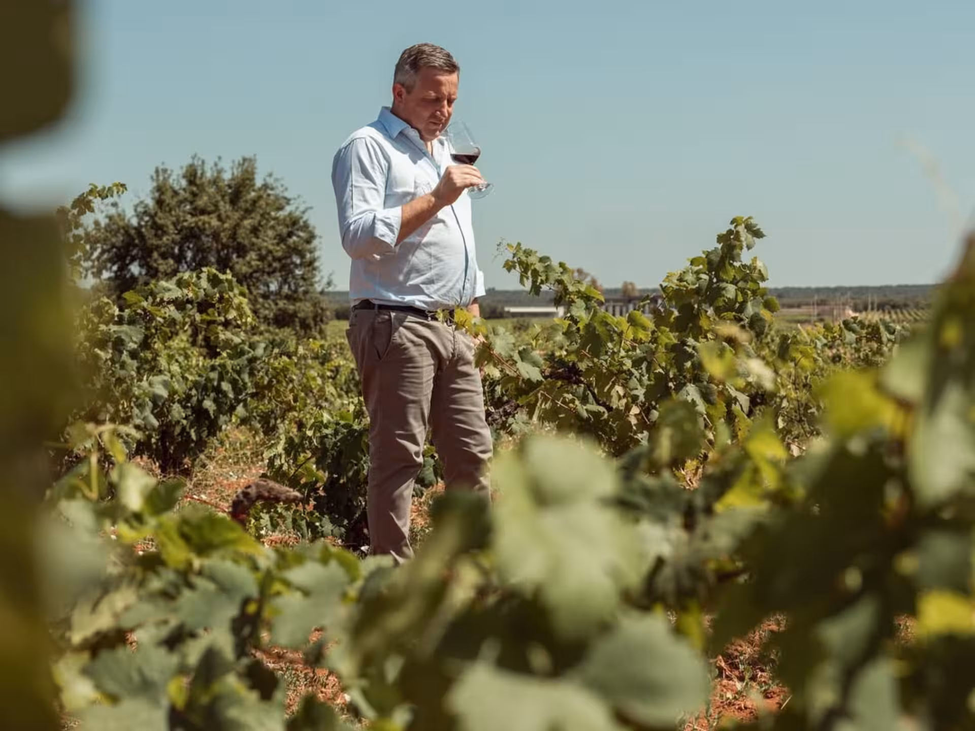 Man tasting wine amidst vibrant grapevines at a Masseria winery near Taranto, enjoying a vineyard walk experience.