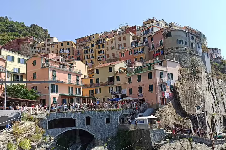 Colorful cliffside houses of Manarola in Cinque Terre overlooking the sea, seen on a private one day wonderland tour of Italy