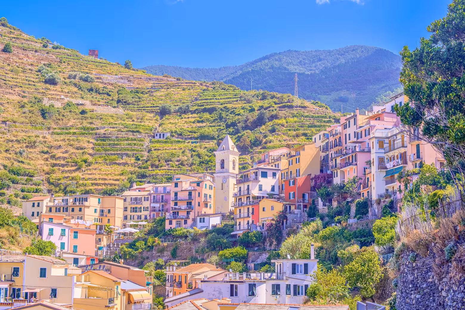Colorful hillside village of Manarola with terraced vineyards, showcasing the picturesque charm of Cinque Terre, Italy.
