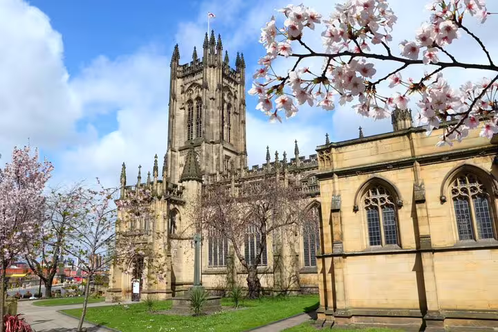 Manchester Cathedral with cherry blossom trees in spring, Gothic stone tower against blue sky