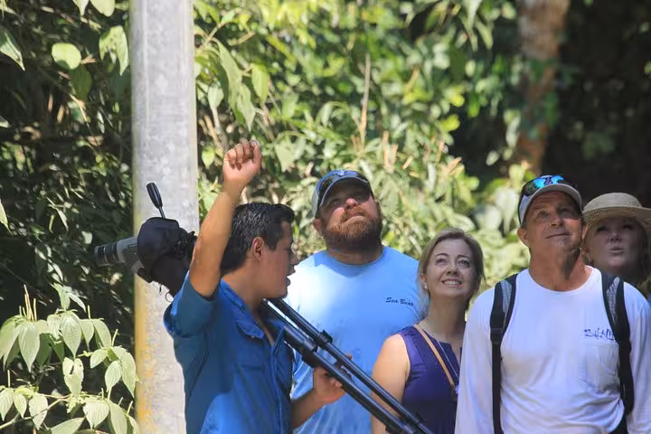 Tour guide showing wildlife to a group of visitors in Manuel Antonio National Park, capturing the essence of a guided tour.