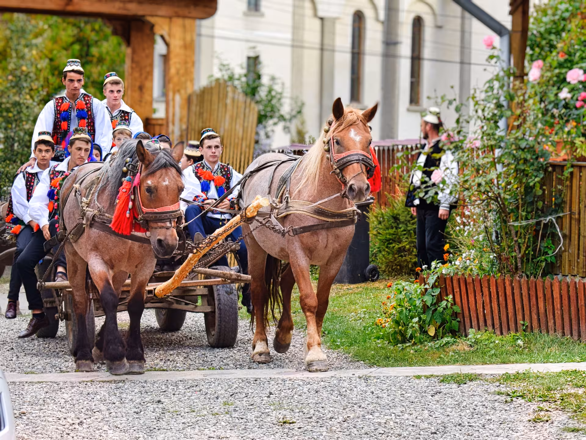 Young locals in colorful traditional costumes riding a horse-drawn cart during a Maramures cultural village tour