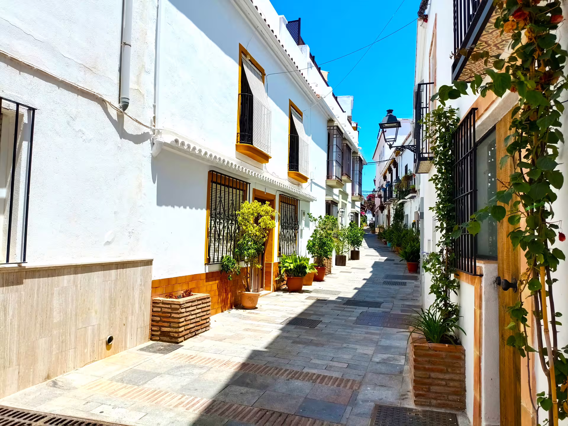 Sunny Marbella Casco Antiguo street with white facades and potted plants on a small group walking tour