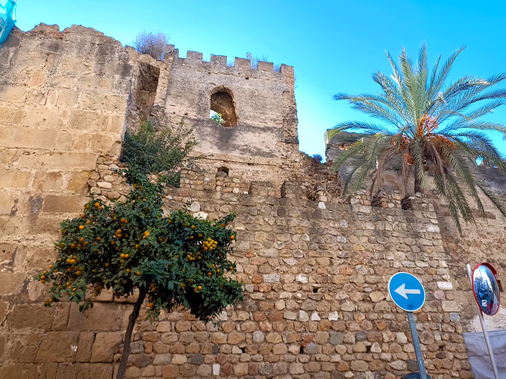 Ancient Marbella city wall and Moorish fortress ruins with palm and orange tree on a group walking tour