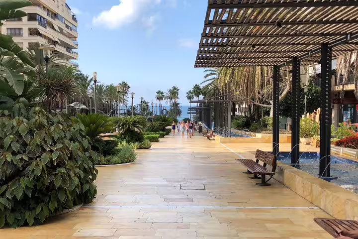 Scenic promenade in Marbella with palm trees and ocean views, ideal for a leisurely stroll during a local tour.
