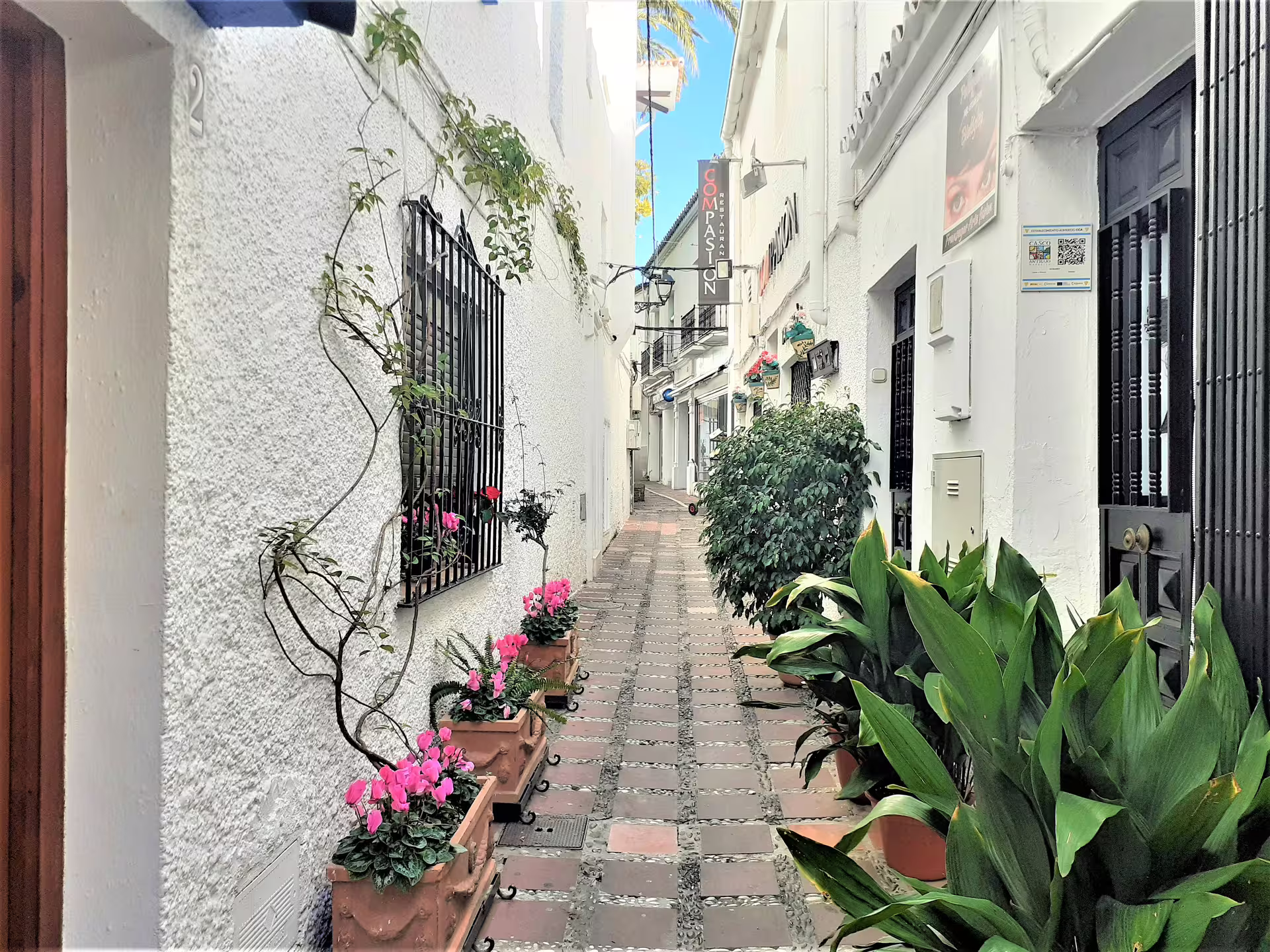 Narrow Marbella Old Town street with potted flowers and white façades on a private guided tour from Malaga