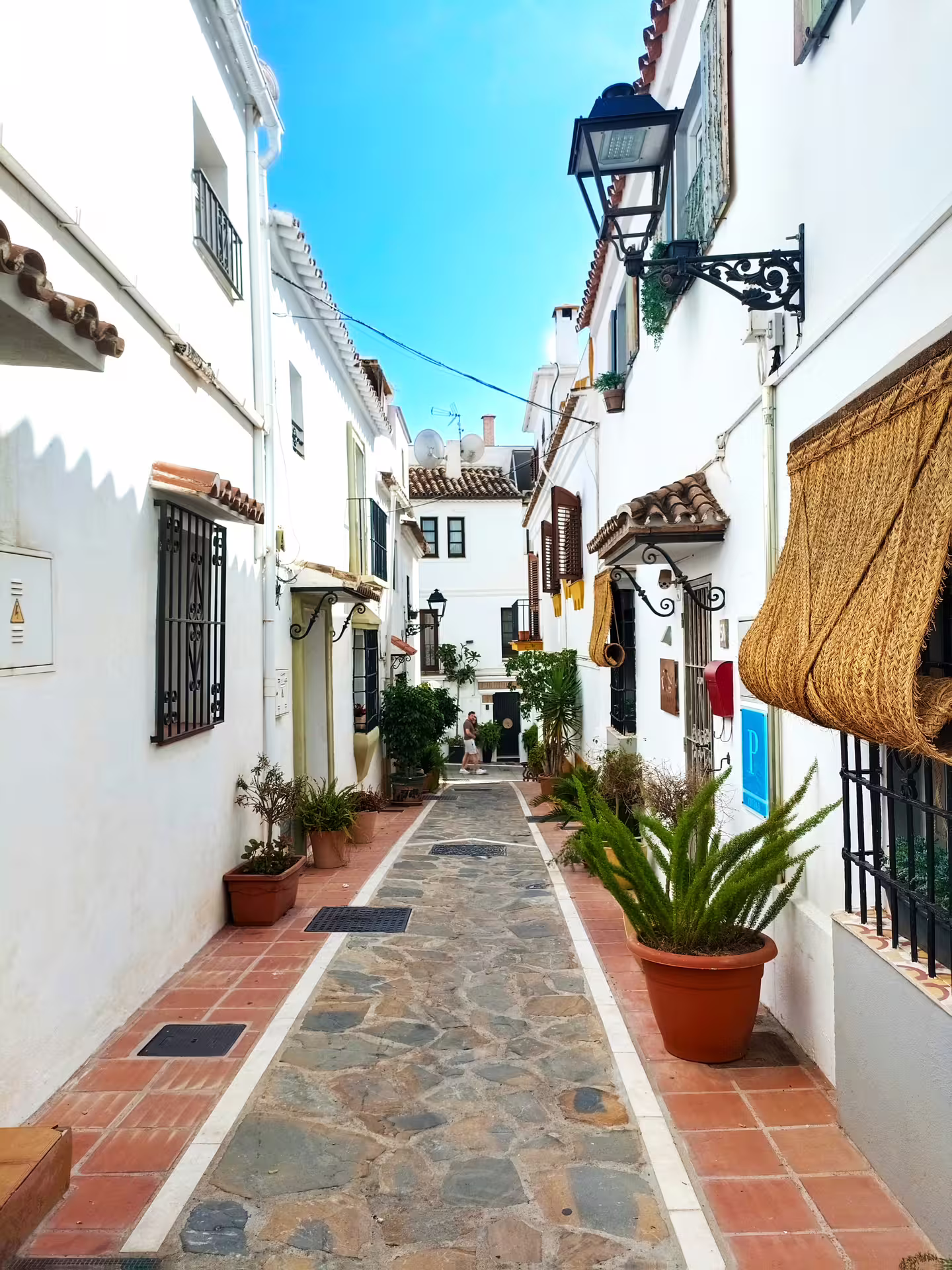 Whitewashed alley in Marbella Old Town with potted plants, Marbella & Puerto Banus private trip with hotel pick-up