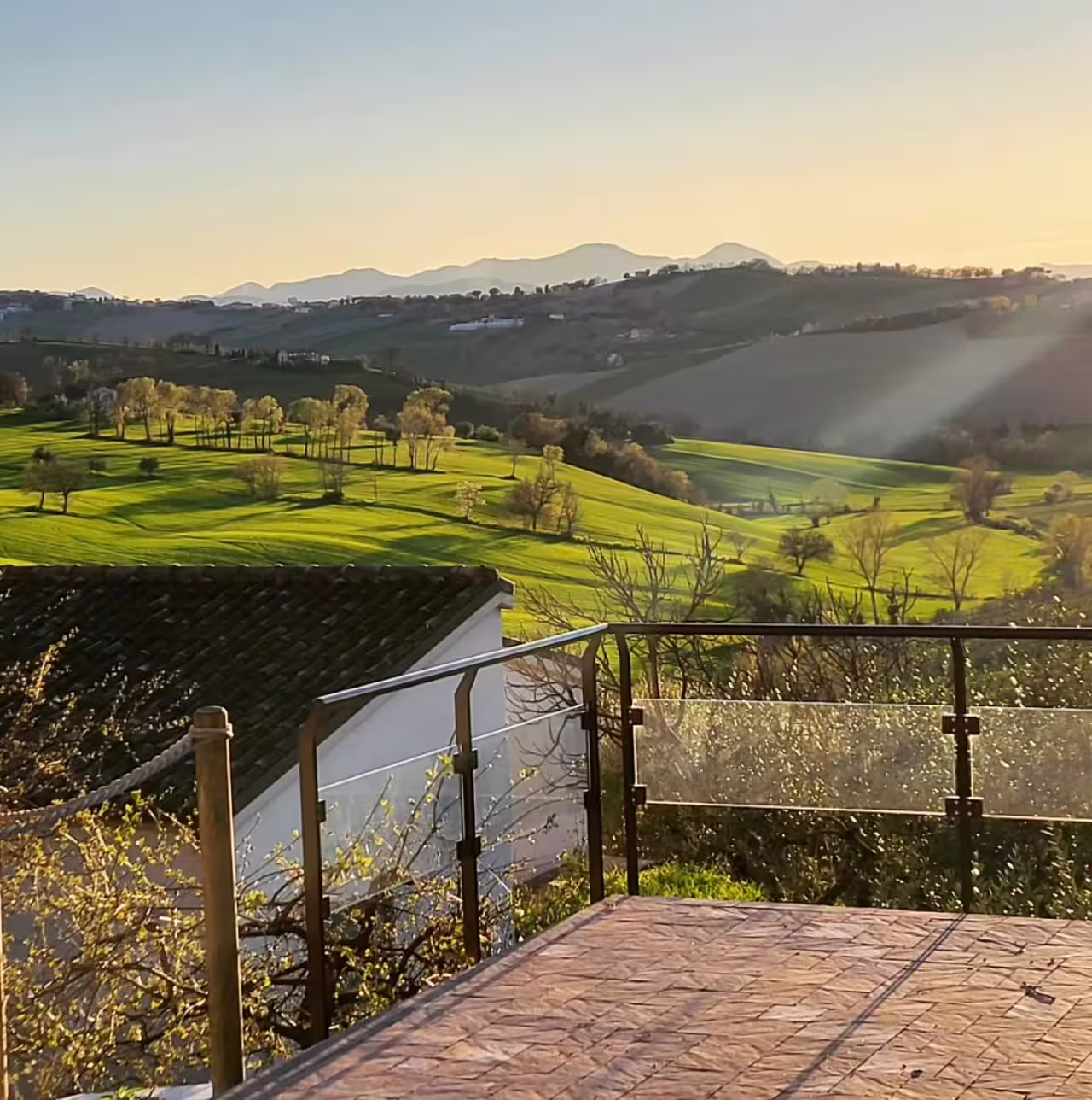 Scenic view of Marche's rolling vineyards at sunset, highlighting the lush landscape at Vicari Vini winery.