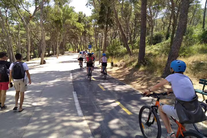 Split City Bike Tour riders cycling through Marjan Forest Park pine trees on a shaded path near the coast