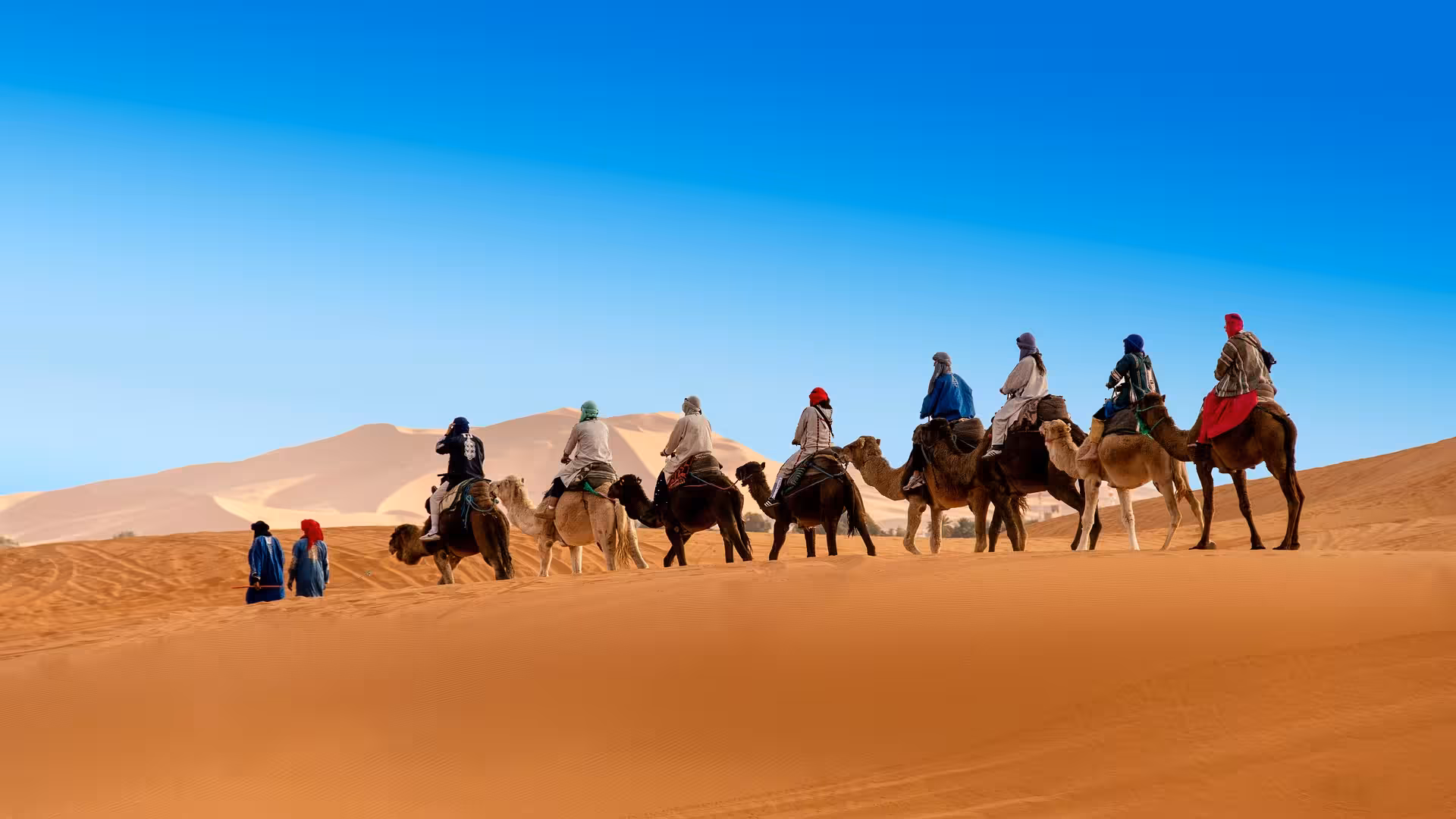 Camel caravan crossing the vast dunes of Merzouga under a clear blue sky on the Marrakech to Fez desert tour.