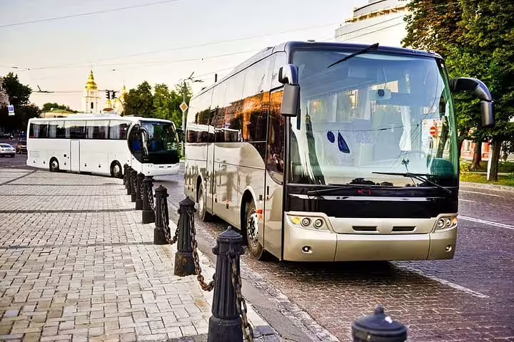 Modern shuttle buses parked curbside, ideal for Marsa Alam Airport private transfer service and group transport