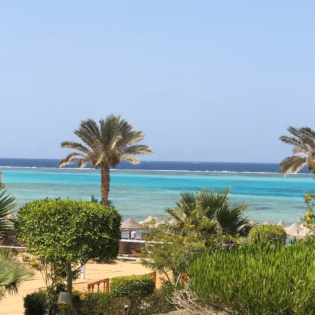 Explore Marsa Alam's stunning turquoise waters and lush palm trees under the clear Egyptian sky on a relaxing getaway.