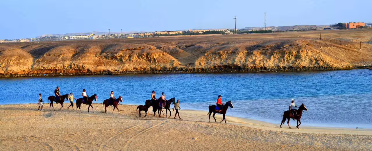 Marsa Alam horseback riding along a sandy lagoon shore, guided group trek with Red Sea views and desert hills