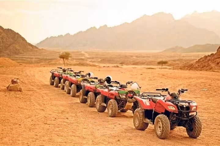 Line of quad bikes ready for Marsa Alam desert adventure, ATV ride with jeep safari and camel trek plus dinner