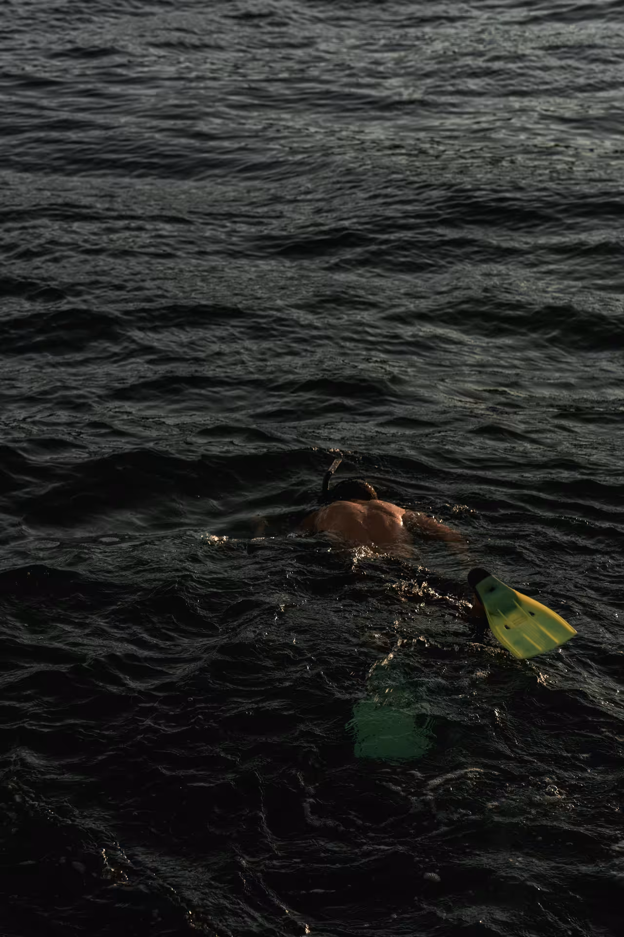 Snorkeler with yellow fins swimming in open sea waters at Marsa Alam