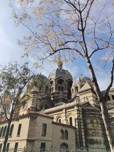 Marseille Cathedral domes framed by trees, highlight stop on Old district street art, craft & wine tour