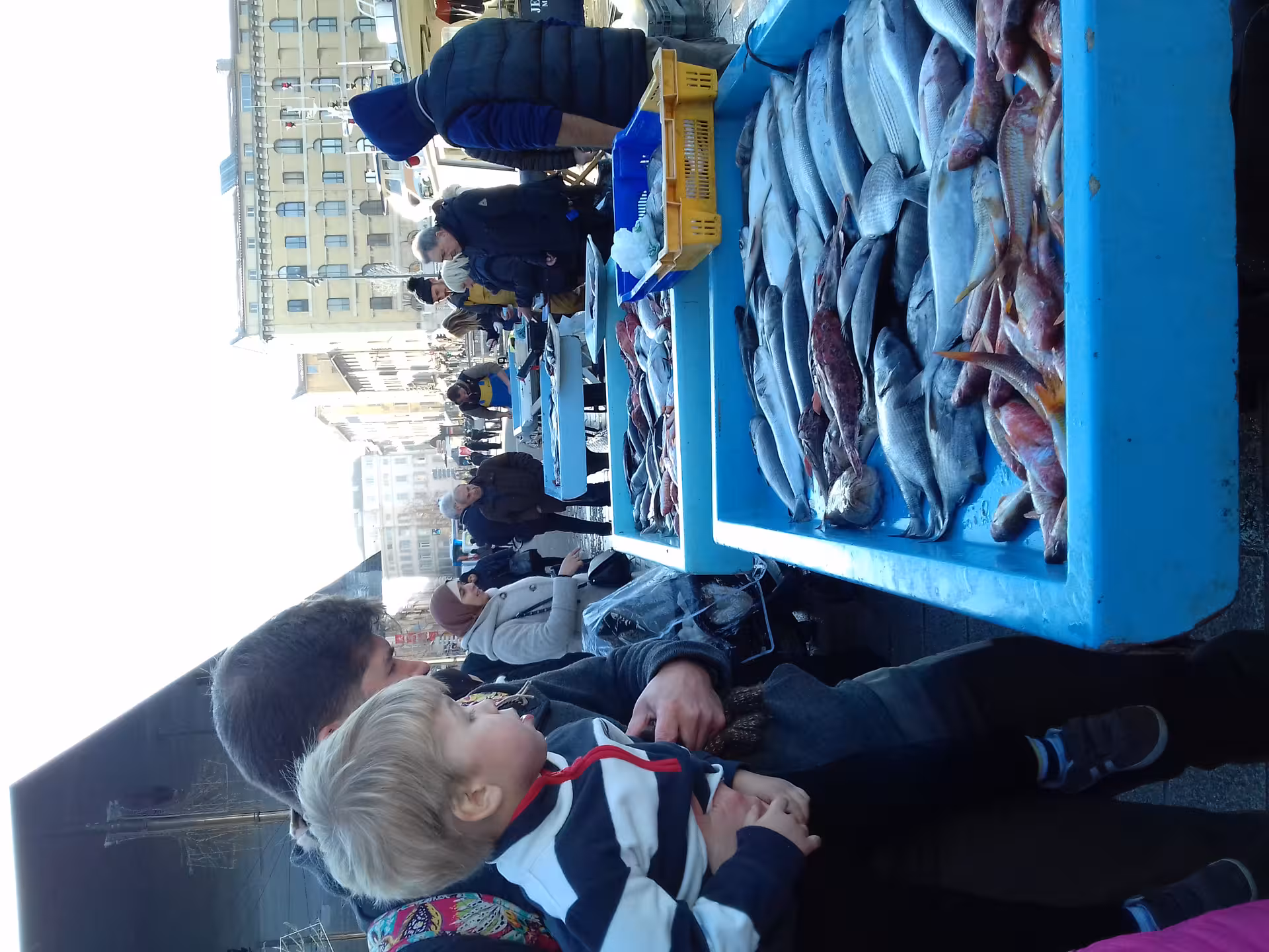 Fresh fish market near Marseille Old Port, a stop on Le Panier food tour exploring local seafood and street life