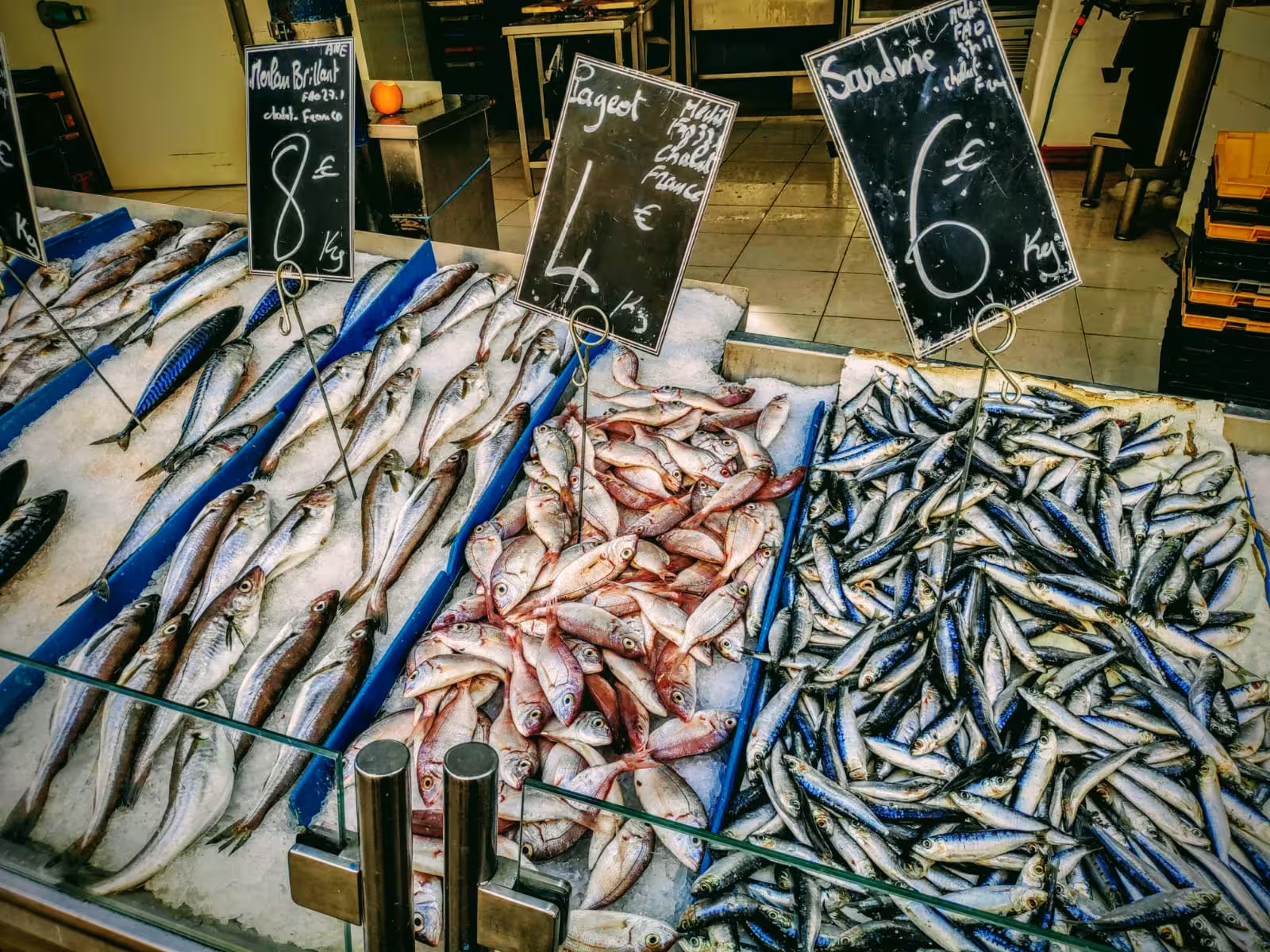Fresh fish display at Marseille market, tasting local seafood on a Live Marseille like a local 3-day tour