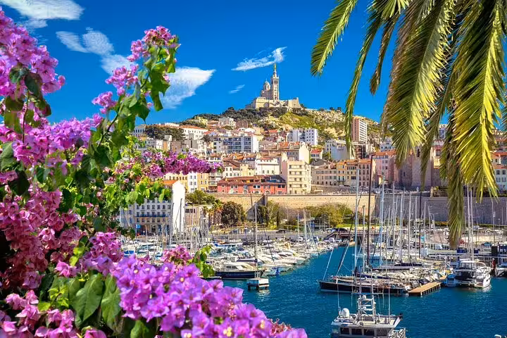 Marseille Old Port marina with Notre-Dame de la Garde, palm trees and bougainvillea on a Riviera tour