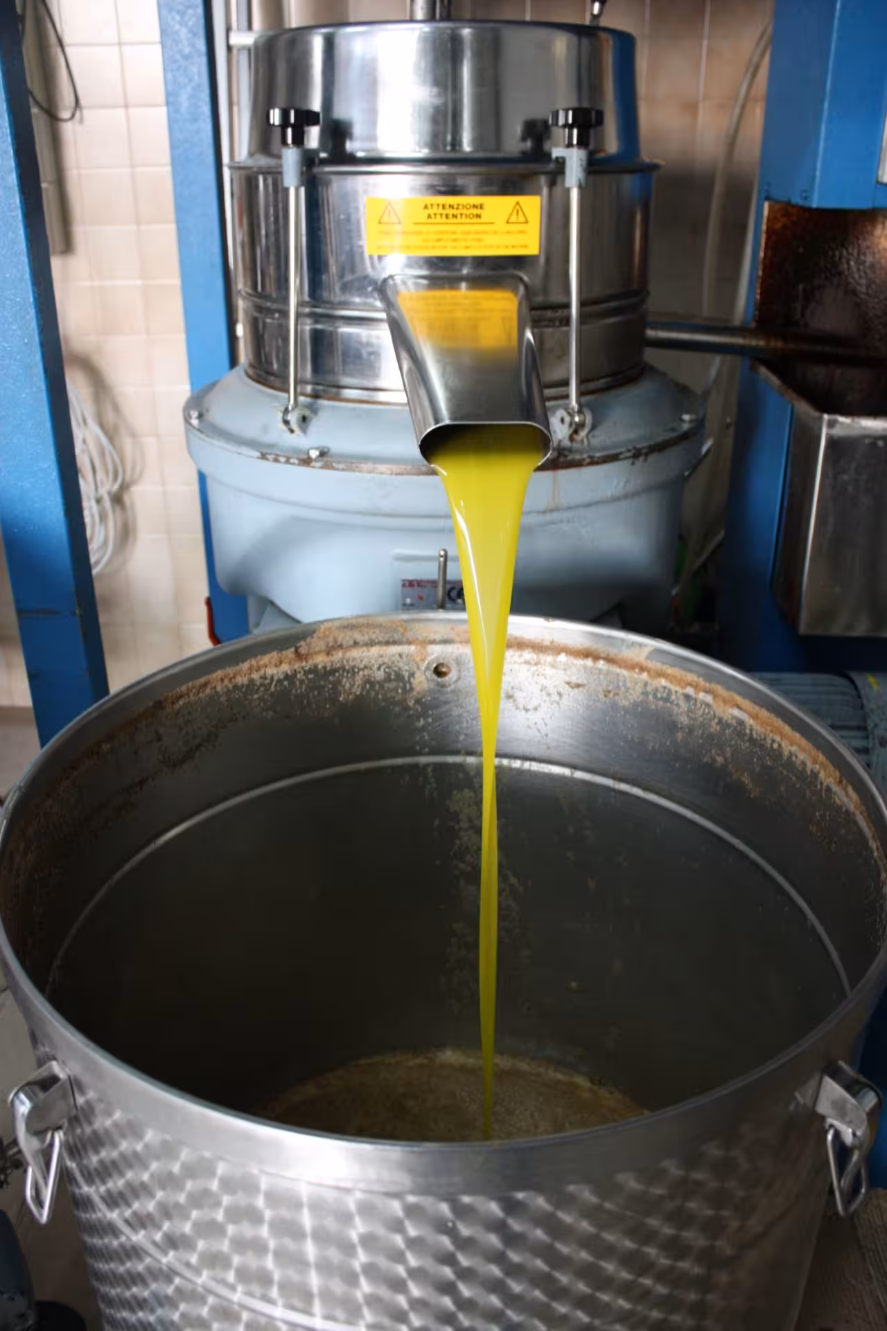 Fresh extra virgin olive oil flowing from mill machine during Martina Franca olive oil tour and tasting in Puglia
