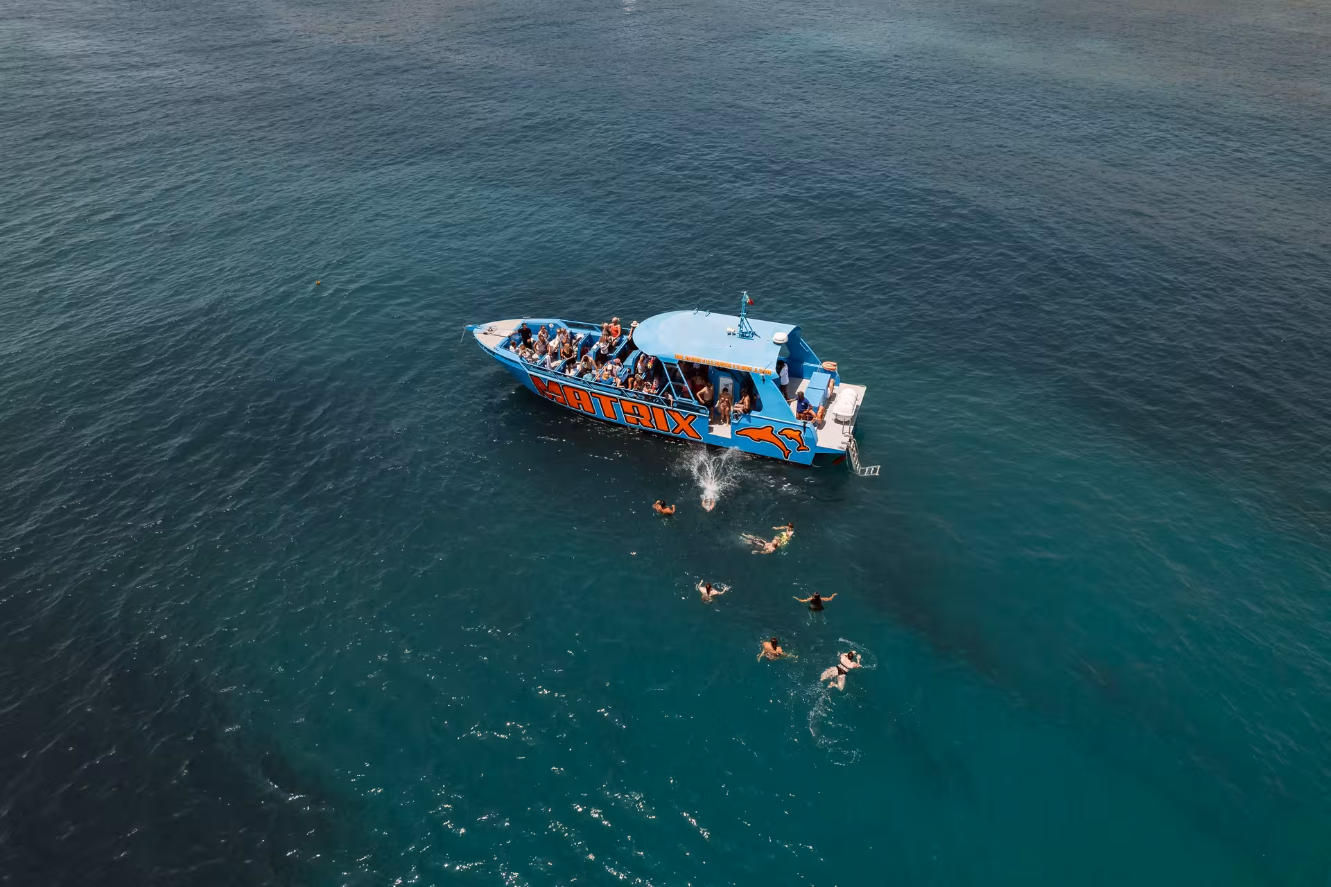 Aerial view of a MATRIX tour boat with passengers swimming in clear blue waters, ideal for dolphin and cave exploration.