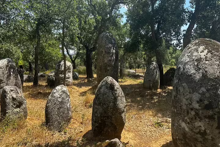 Explore ancient standing stones amidst lush greenery on the Full Day Megalithic Tour with lunch included.