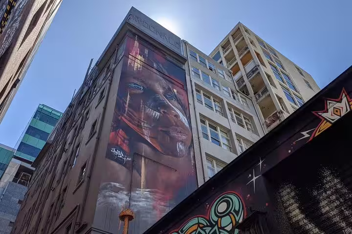 Large street art mural of an indigenous face painted on a building wall in Melbourne laneways