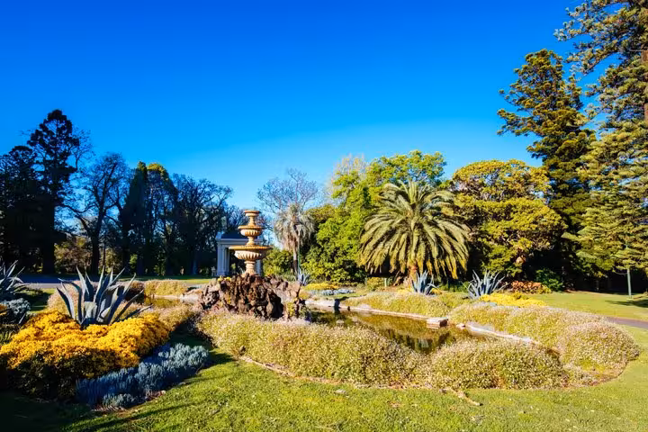 Ornate fountain surrounded by tropical palms and colorful gardens in Melbourne botanical park