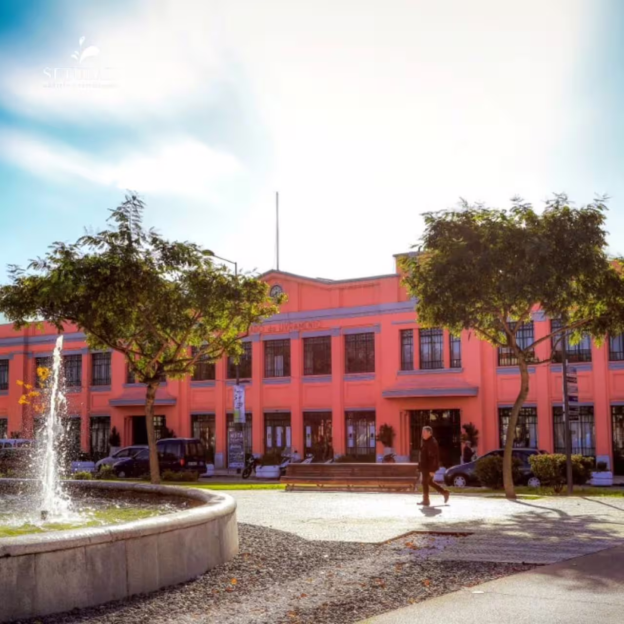 Charming view of Mercado do Livramento in Setúbal, a vibrant stop on Lisbon to Algarve customized transfers.